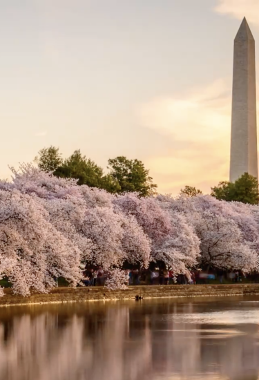 DC Monument